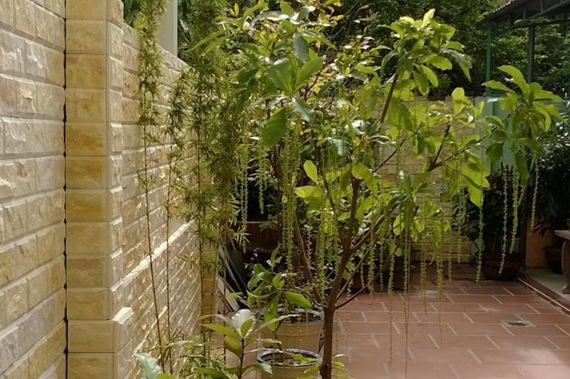 Hi Hop Yen Homestay Χόι Αν Εξωτερικό φωτογραφία
